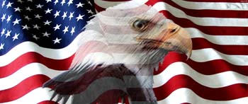 AmFlagEagle