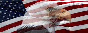 AmericanFlagTXEagle