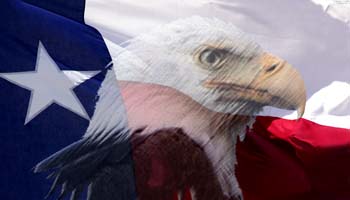 TexasFlagEagle